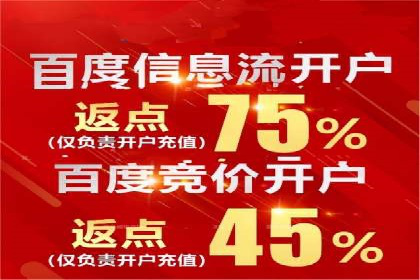 百度推广实战技巧：案例详解